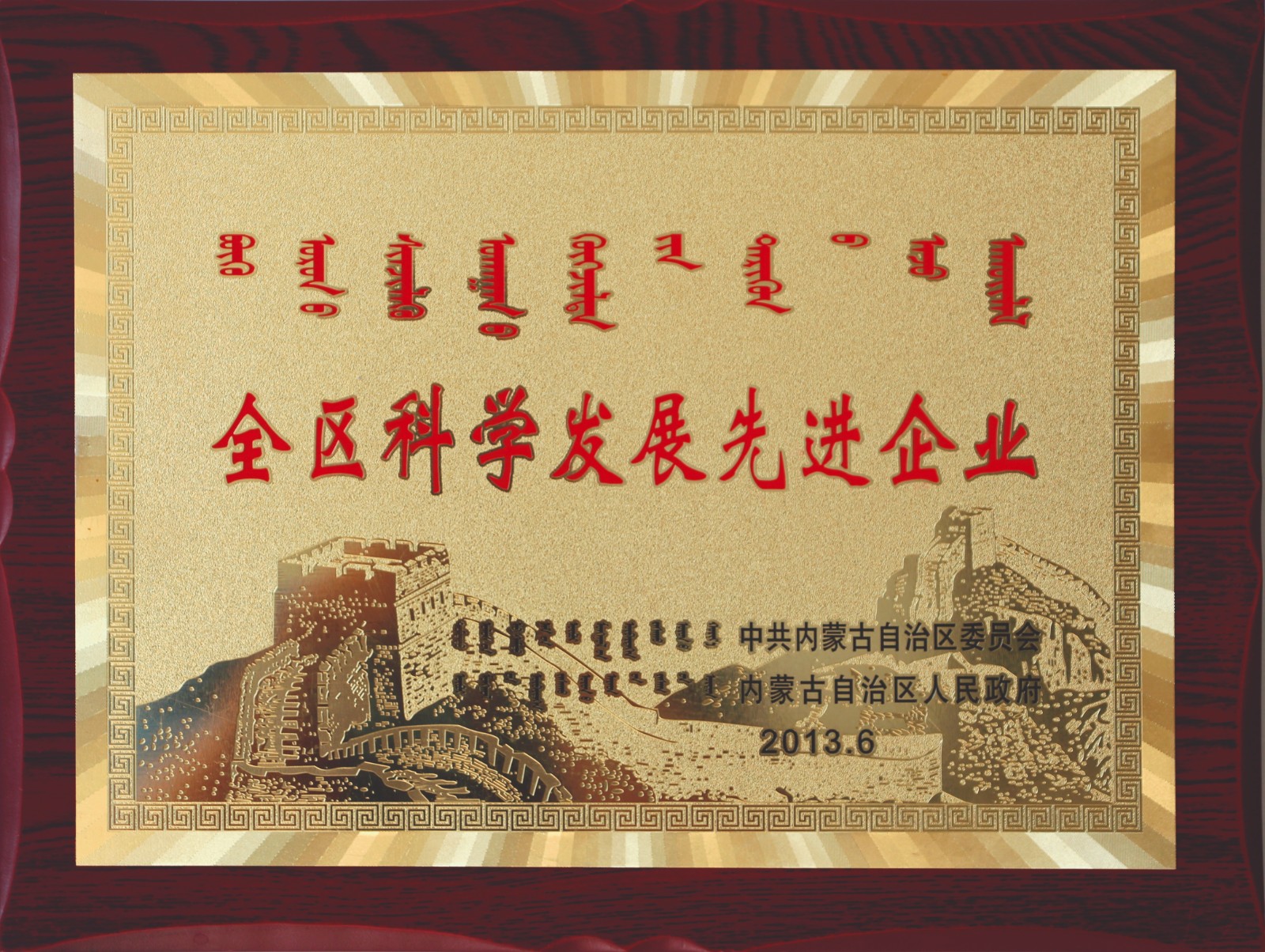 全區(qū)科學(xué)發(fā)展先進企業(yè)