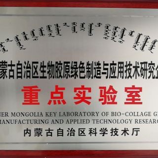 內蒙古自治區(qū)企業(yè)重點實驗室